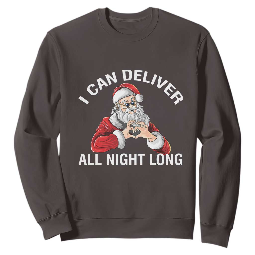 Funny Chrsitmas Sweatshirt I Can Deliver All Night Long TS09 Dark Chocolate Print Your Wear