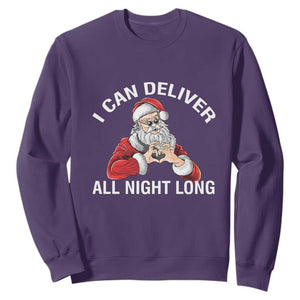 Funny Chrsitmas Sweatshirt I Can Deliver All Night Long TS09 Purple Print Your Wear
