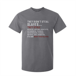 Black History T Shirt For Kid They Didn't Steal Slaves They Stolen And Made Them Slaves TS09 Charcoal Print Your Wear