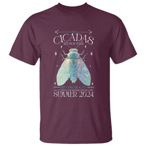 The Cicada Reunion U.S Tour 2024 T Shirt Broods XIII & XIX Cicadas Concert Fest TS09 Maroon Print Your Wear