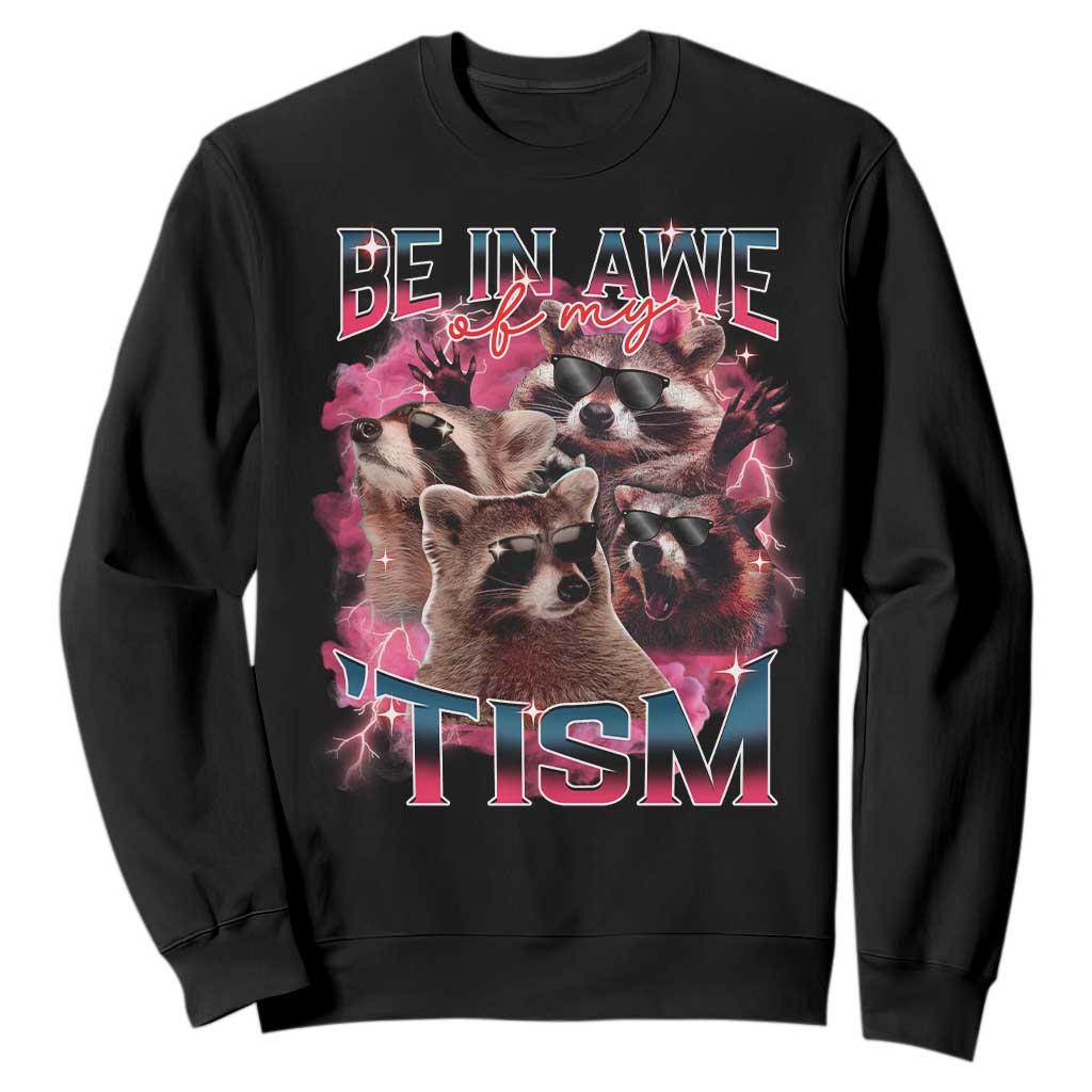 Funny Meme Autistic Raccoon Sweatshirt Be In Awe Of My 'Tism TS09 Black Print Your Wear