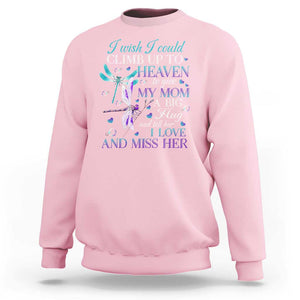 Loving Memory Sweatshirt I Wish I Could Climb Up To Heaven To Give My Mom A Big Hug TS09 Light Pink Print Your Wear