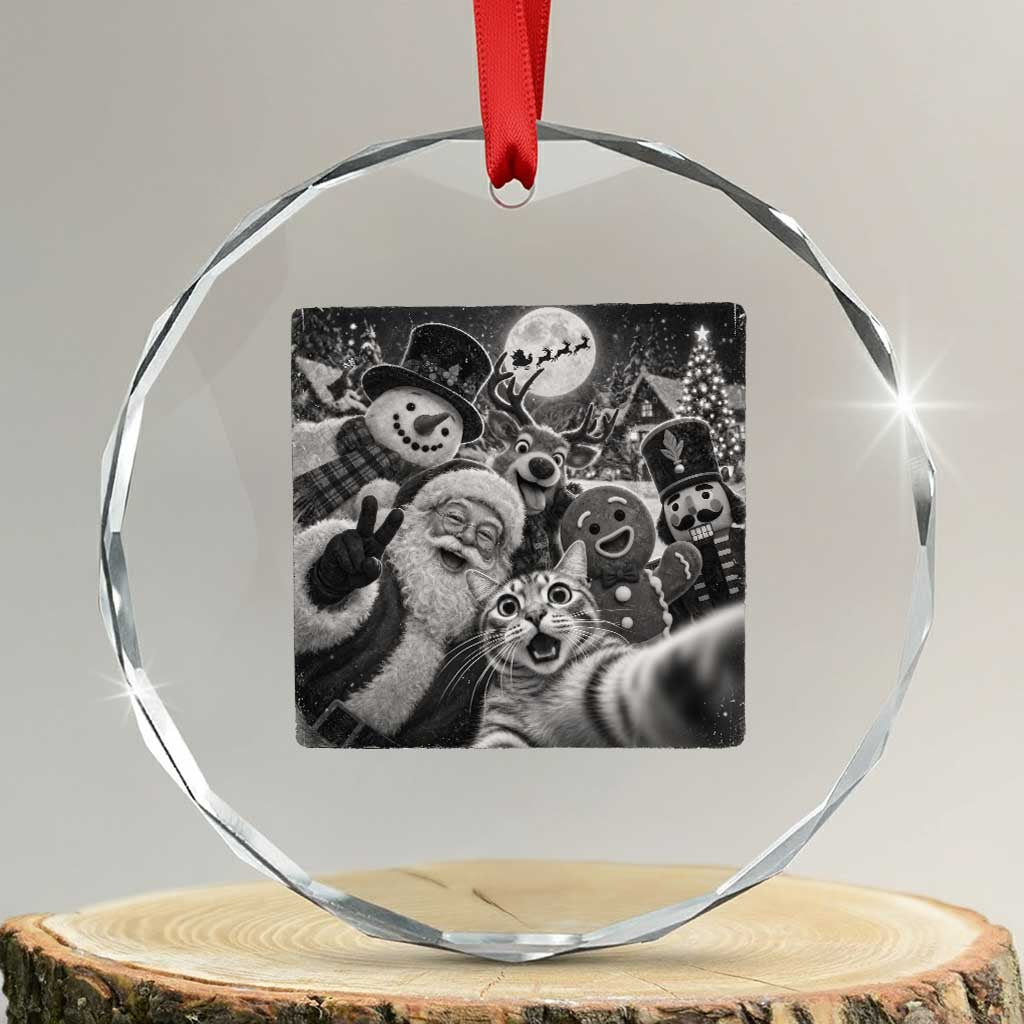 Funny Christmas Cat Selfie With Santa Crystal Glass Ornament Retro Snowman Gingerbread Squad