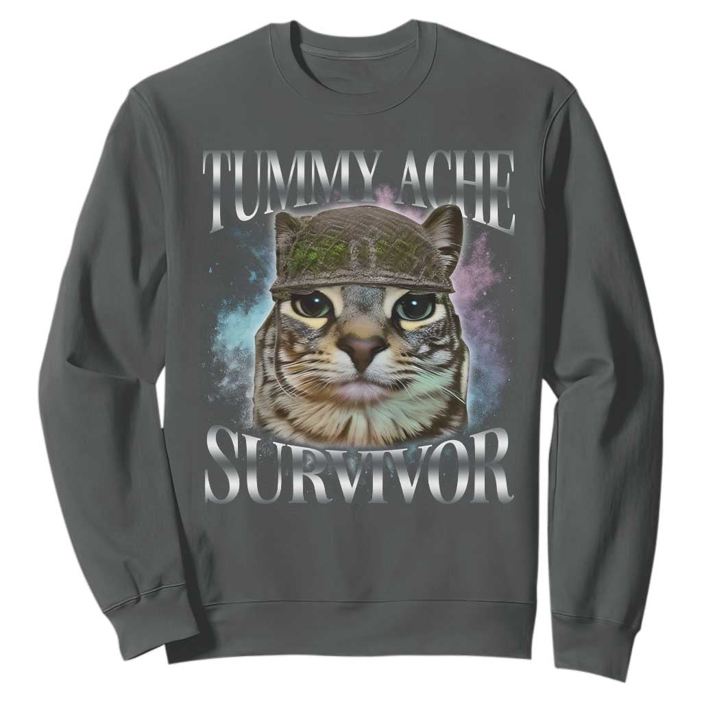 Tummy Ache Survivor Cat Meme Sweatshirt Vintage 90s Graphic Funny Stomach Issues Bootleg TS10 Dark Heather Print Your Wear