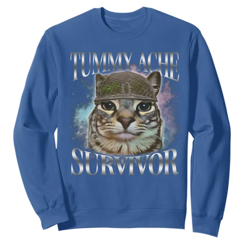 Tummy Ache Survivor Cat Meme Sweatshirt Vintage 90s Graphic Funny Stomach Issues Bootleg TS10 Royal Blue Print Your Wear