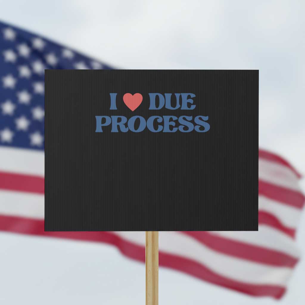 I Love Due Process Protest Sign Pro Immigration Immigrants Feed America TS10 Horizontal 18