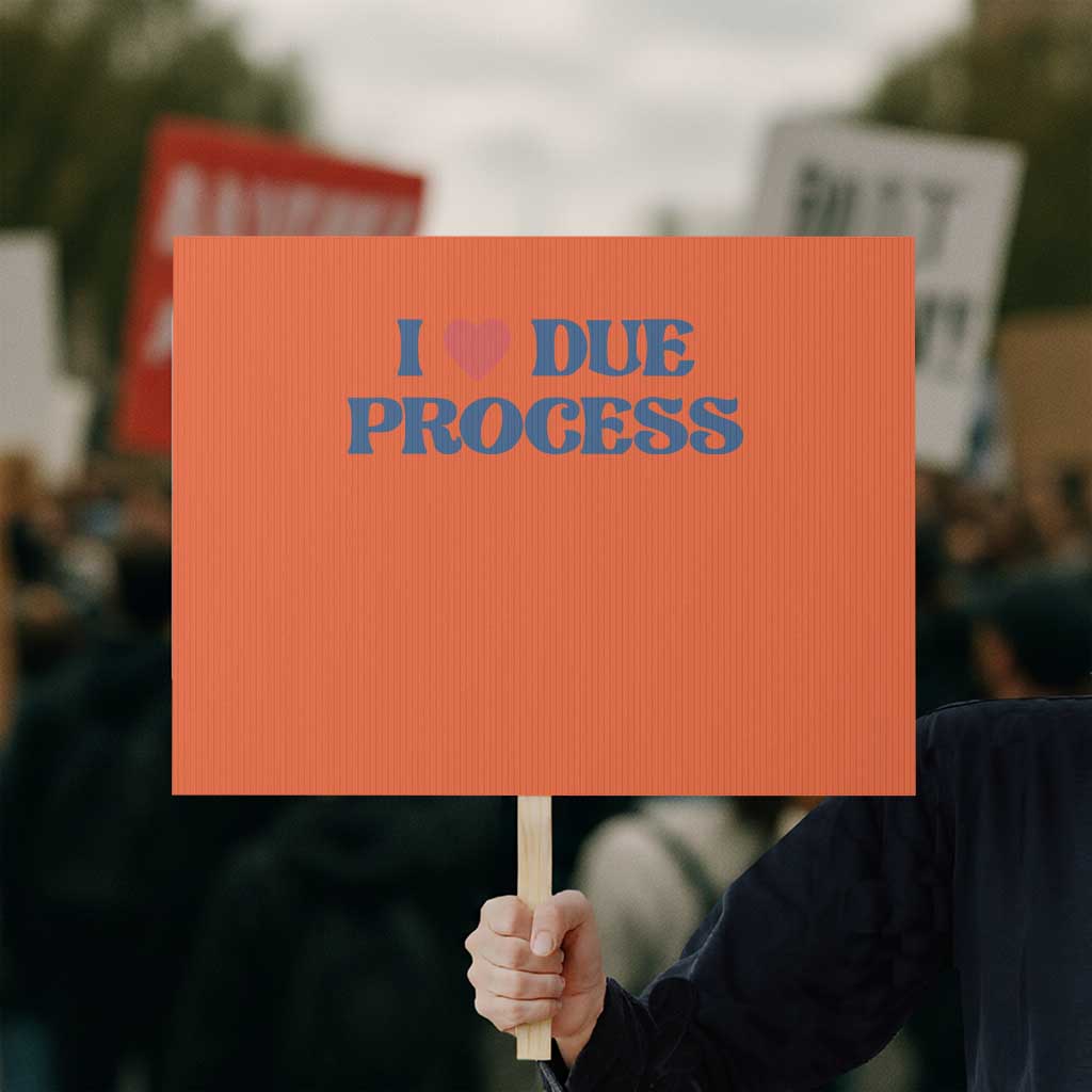 I Love Due Process Protest Sign Pro Immigration Immigrants Feed America TS10 Horizontal 18