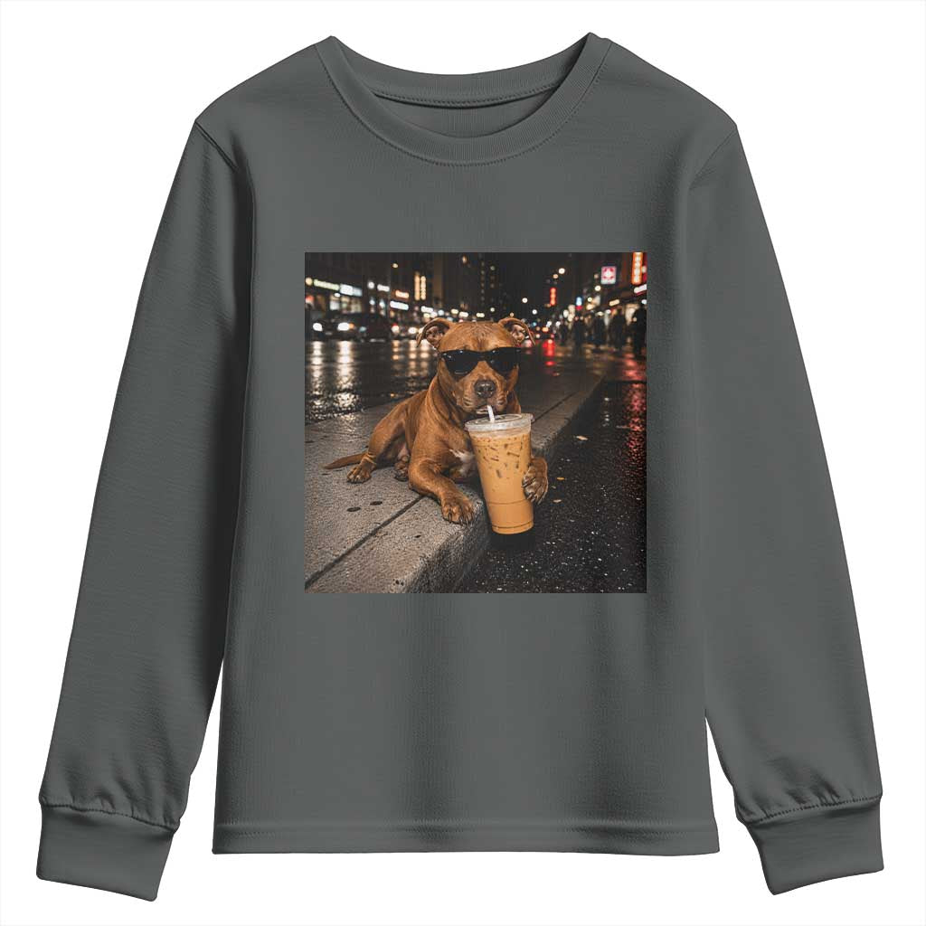 Funny Pitbull Drinking Iced Coffee Youth Sweatshirt Vintage Pittie Dog Lovers Meme TS10 Dark Heather Print Your Wear