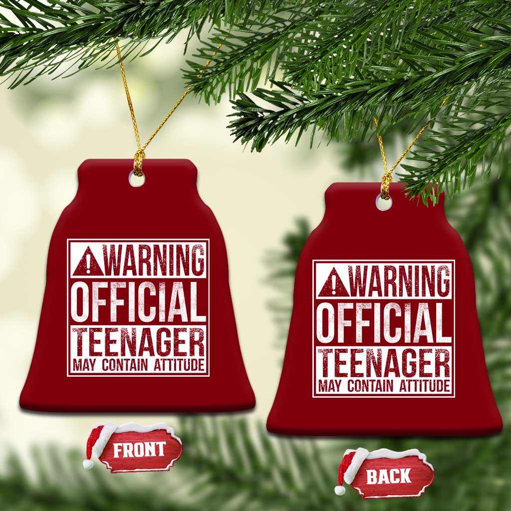13th Birthday Ceramic Ornament Warning Official Teenager Boy 13yr TS10 Print Your Wear