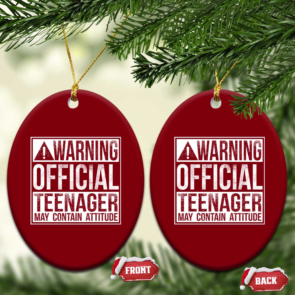 13th Birthday Ceramic Ornament Warning Official Teenager Boy 13yr TS10 Print Your Wear
