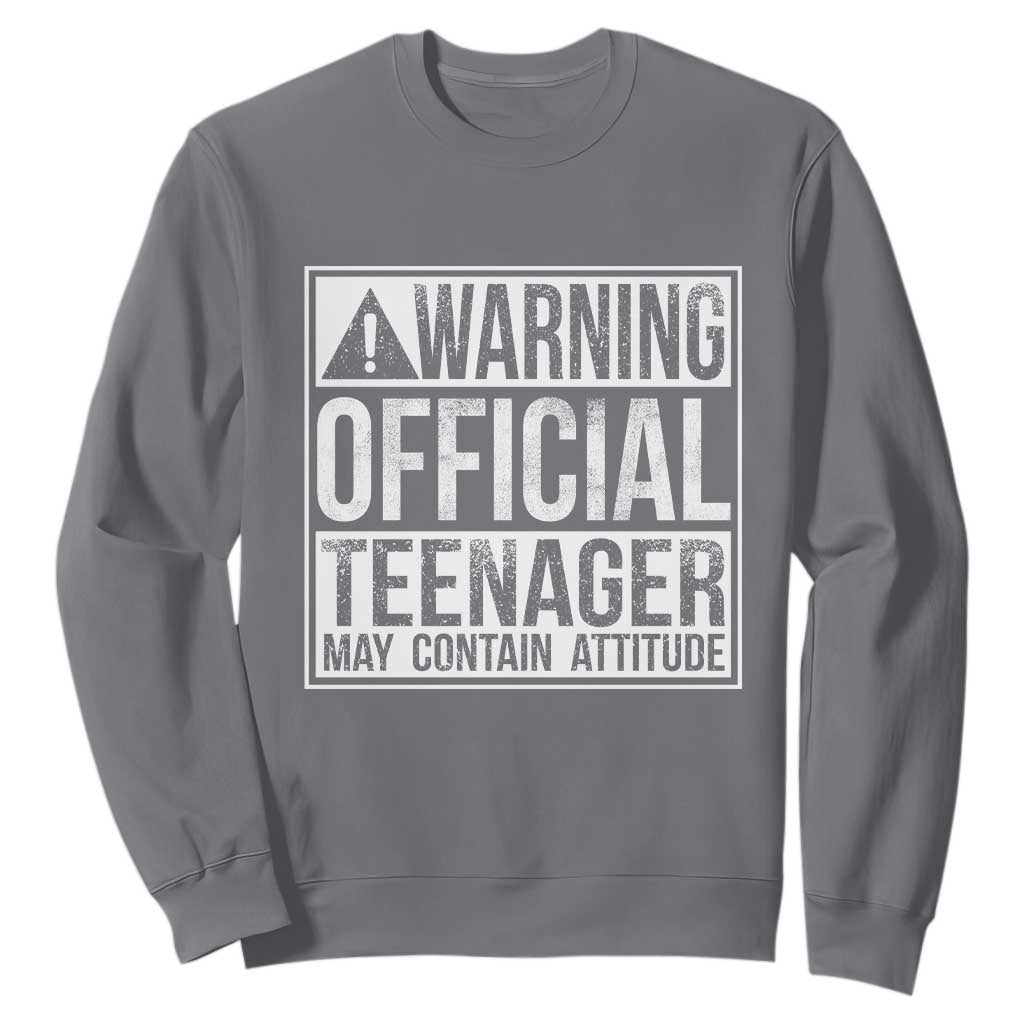 13th Birthday Sweatshirt Warning Official Teenager Boy 13yr TS10 Charcoal Print Your Wear