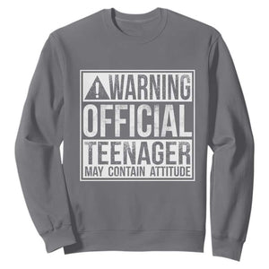 13th Birthday Sweatshirt Warning Official Teenager Boy 13yr TS10 Charcoal Print Your Wear