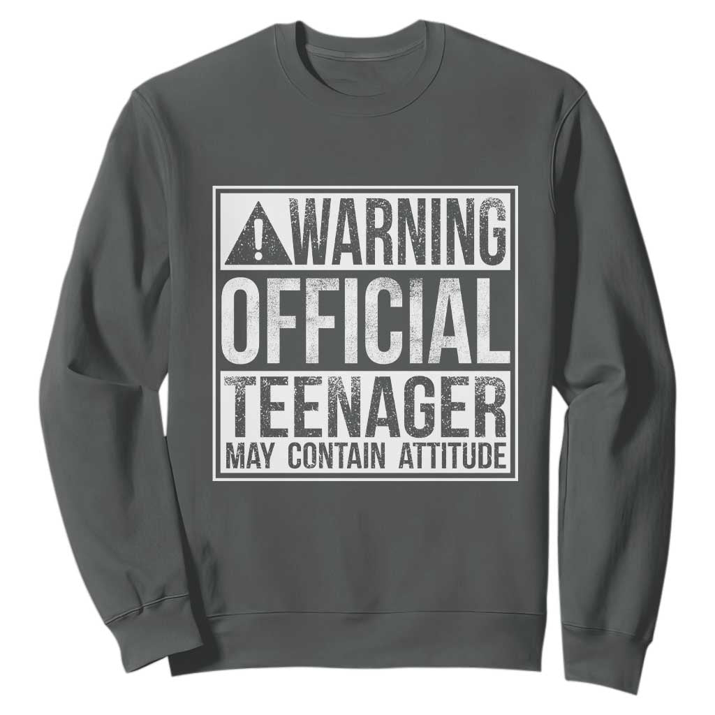 13th Birthday Sweatshirt Warning Official Teenager Boy 13yr TS10 Dark Heather Print Your Wear