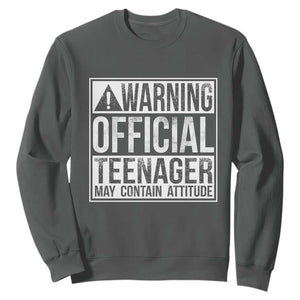 13th Birthday Sweatshirt Warning Official Teenager Boy 13yr TS10 Dark Heather Print Your Wear
