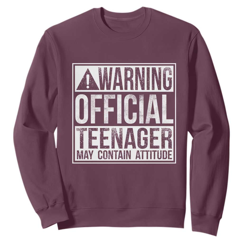 13th Birthday Sweatshirt Warning Official Teenager Boy 13yr TS10 Maroon Print Your Wear