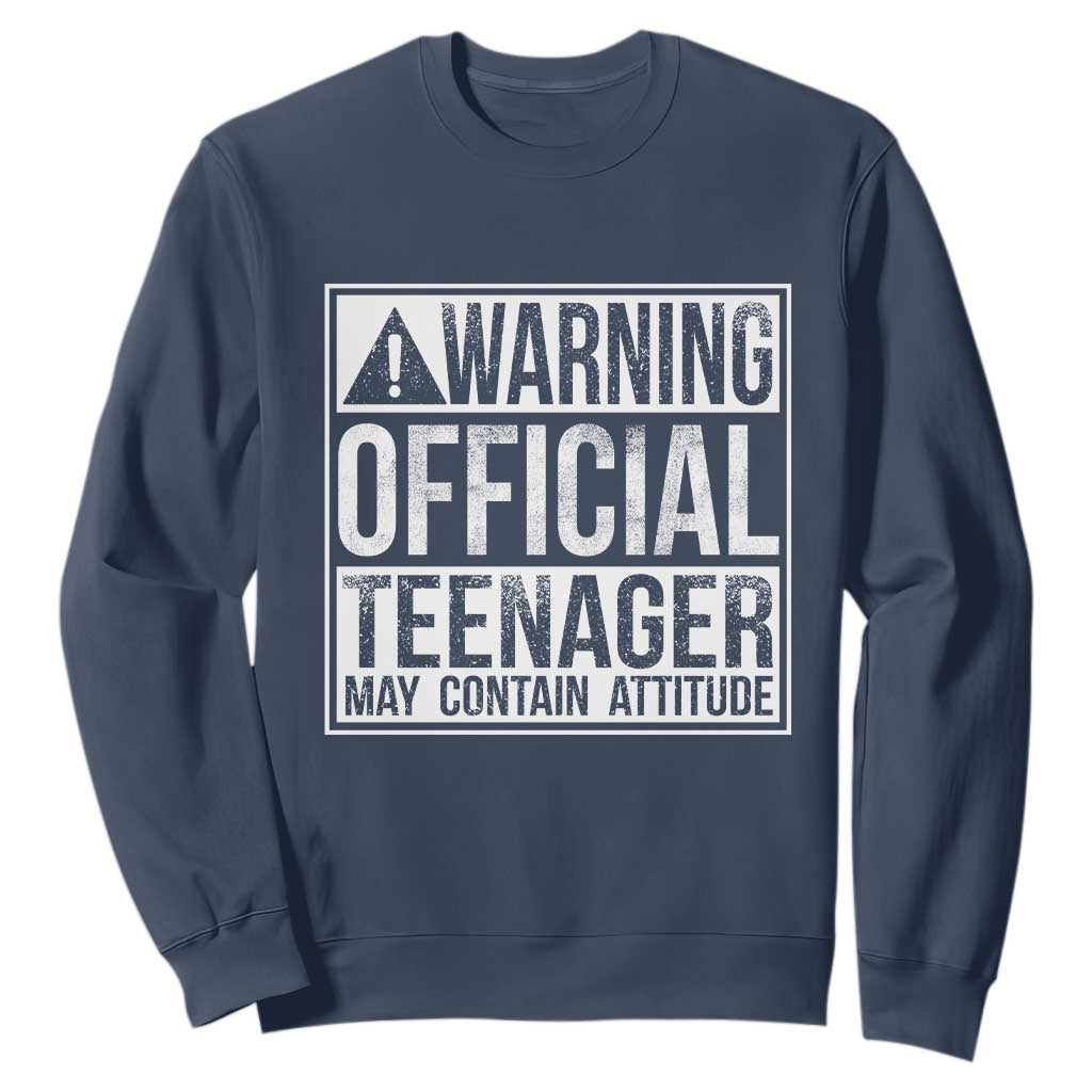 13th Birthday Sweatshirt Warning Official Teenager Boy 13yr TS10 Navy Print Your Wear