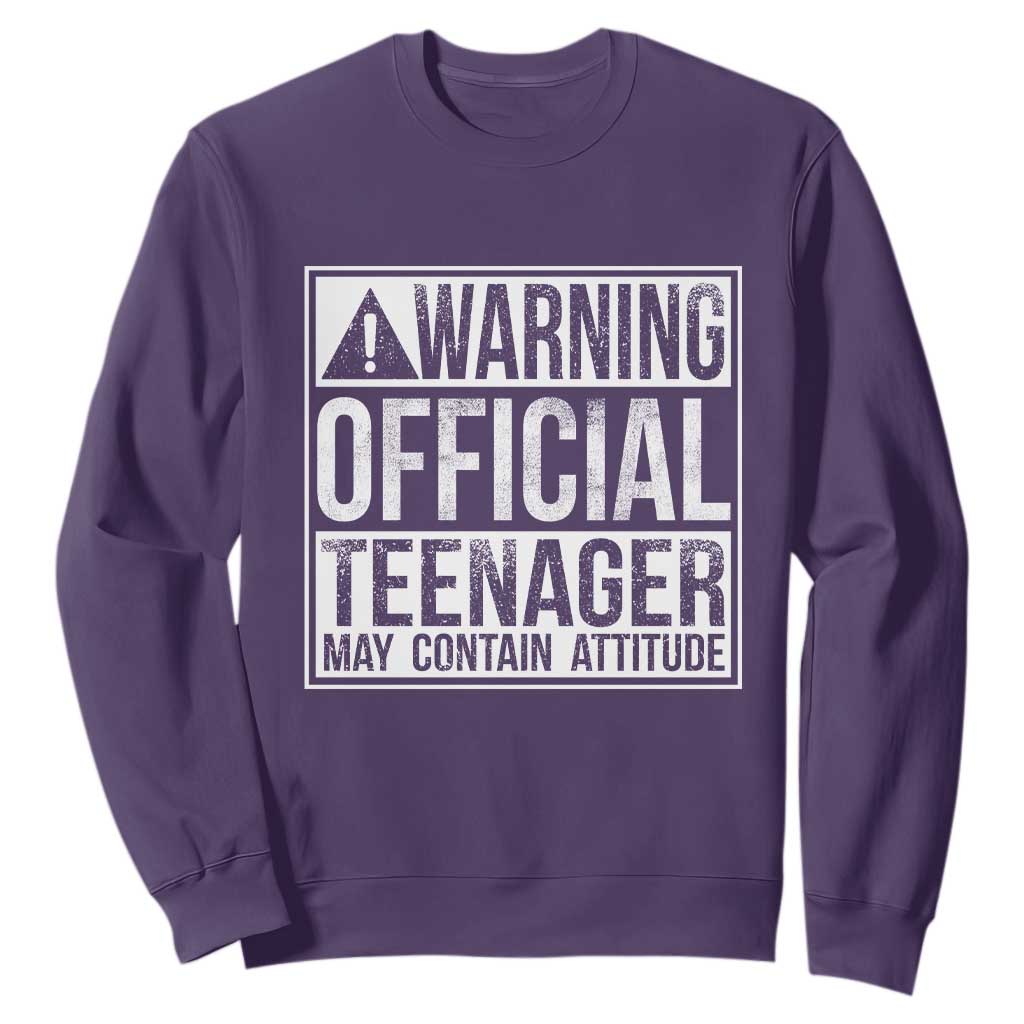 13th Birthday Sweatshirt Warning Official Teenager Boy 13yr TS10 Purple Print Your Wear