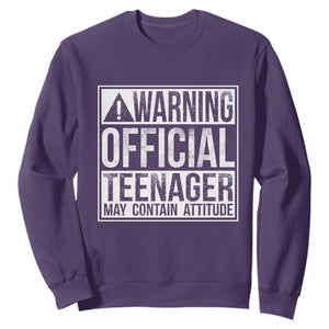 13th Birthday Sweatshirt Warning Official Teenager Boy 13yr TS10 Purple Print Your Wear