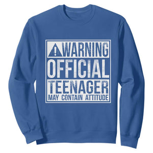 13th Birthday Sweatshirt Warning Official Teenager Boy 13yr TS10 Royal Blue Print Your Wear
