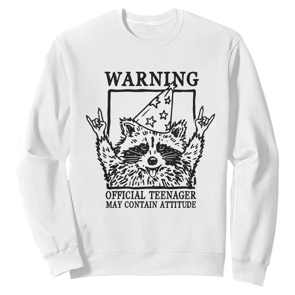 Vintage Raccoon 13th Birthday Sweatshirt 13 Year Old Official Teenager Gifts TS10 White Print Your Wear