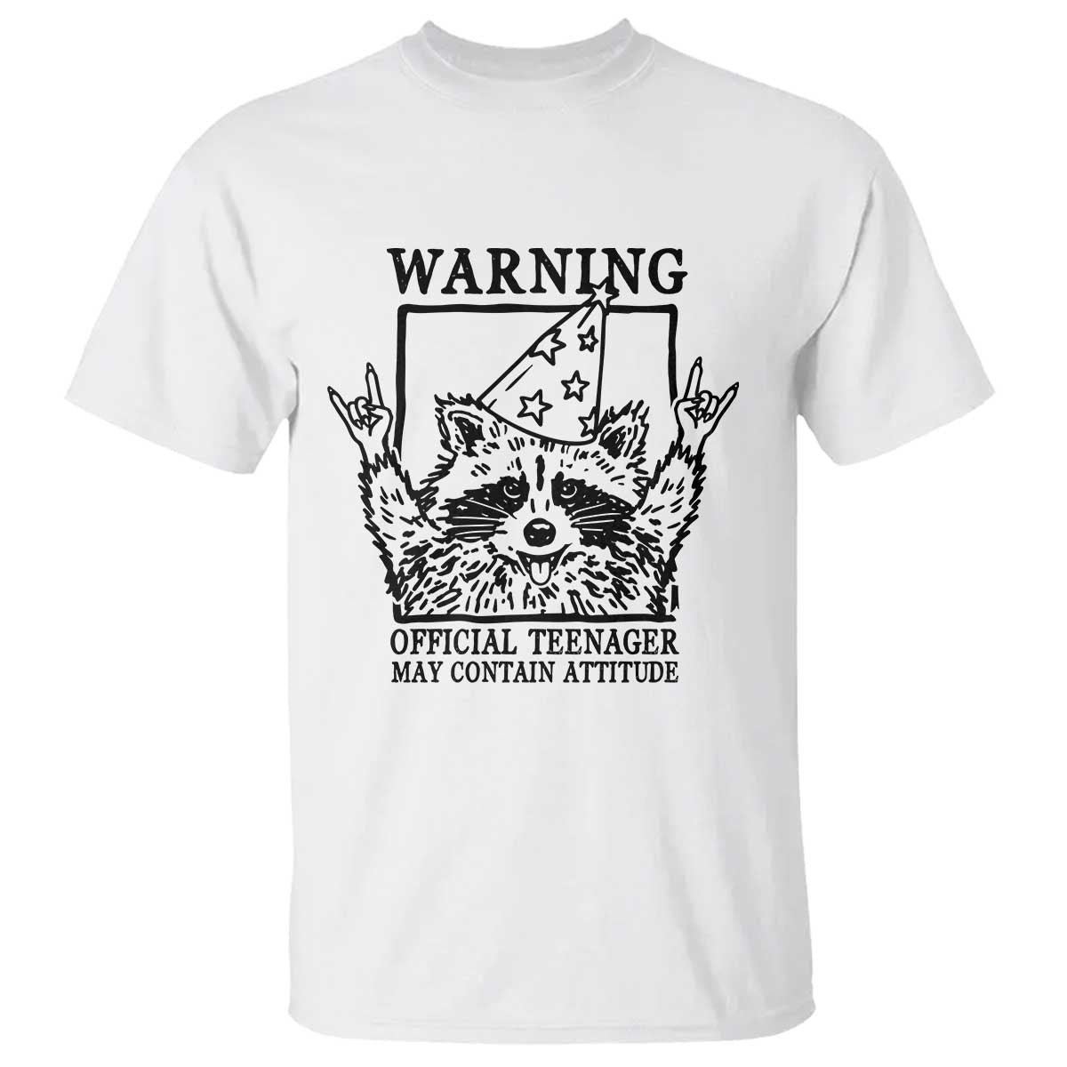 Vintage Raccoon 13th Birthday T Shirt 13 Year Old Official Teenager Gifts TS10 White Print Your Wear