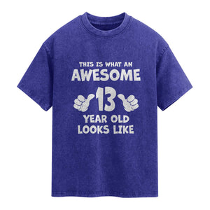 13th Birthday Washed Cotton T-Shirt Awesome 14 Year Old Looks Like
