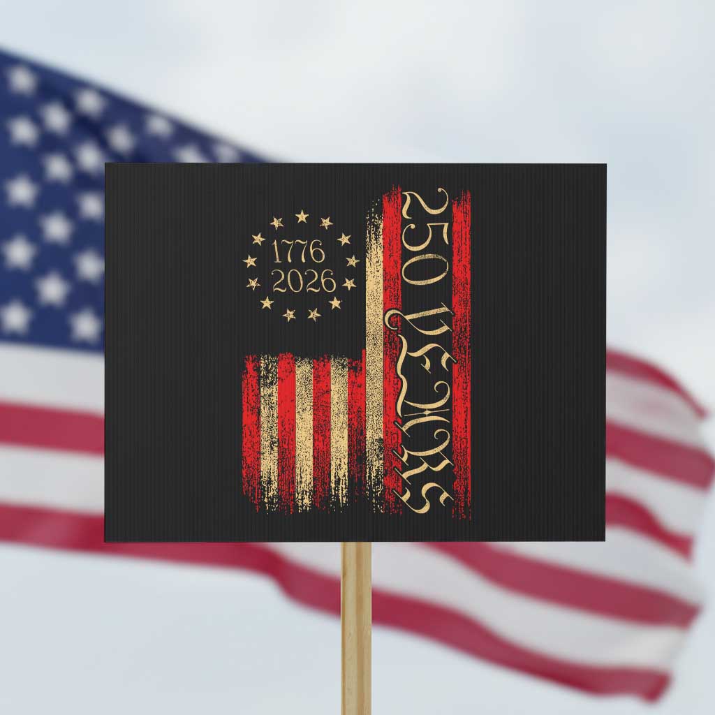 250 Years America Flag Protest Sign 250th Anniversary USA TS10 Horizontal 18