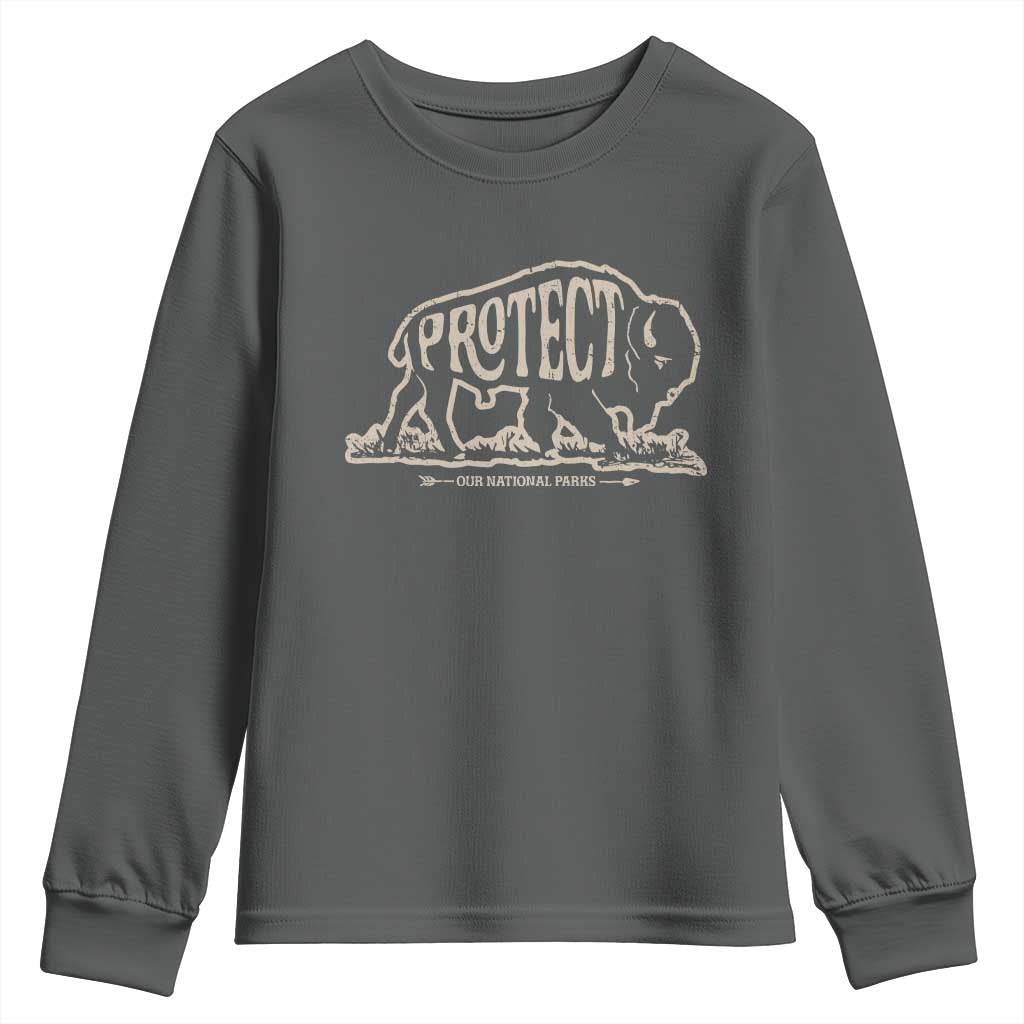 Protect Our National Parks Youth Sweatshirt Bison Buffalo Vintage TS10 Dark Heather Print Your Wear