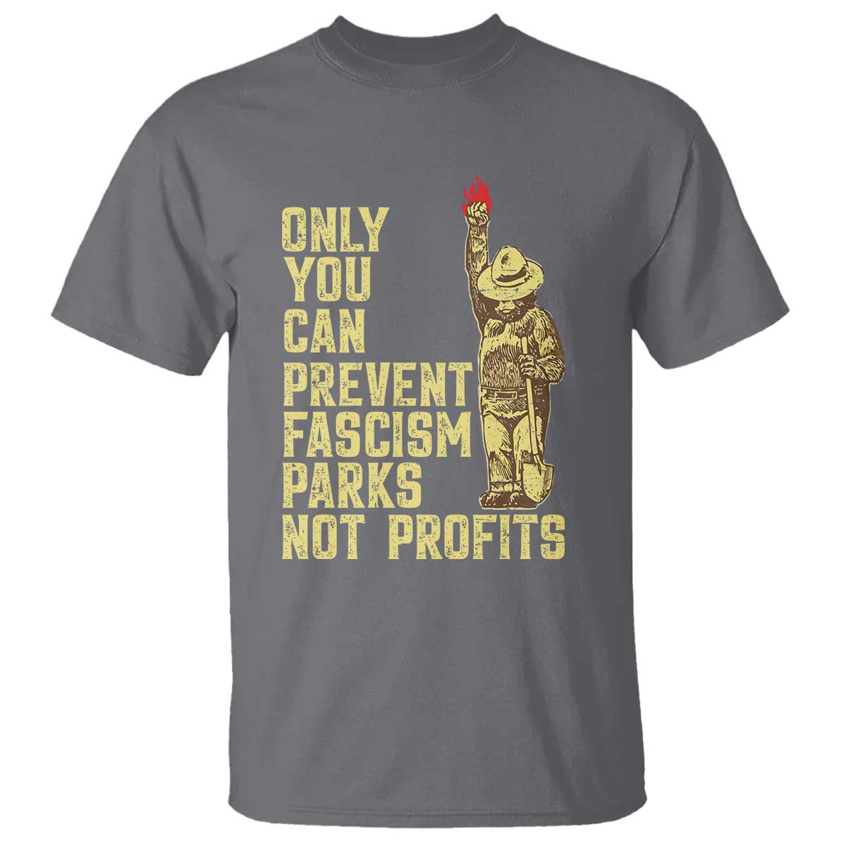 Protect Our National Parks T Shirt Bear Progressive Funny Gift TS10 Charcoal Print Your Wear