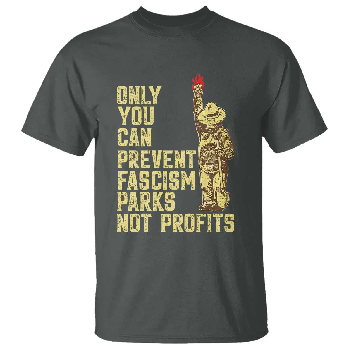 Protect Our National Parks T Shirt Bear Progressive Funny Gift TS10 Dark Heather Print Your Wear