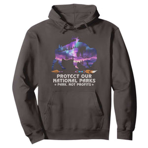 Protect Our National Parks Hoodie Bison Forest Starscape Aurora TS10 Dark Chocolate Print Your Wear