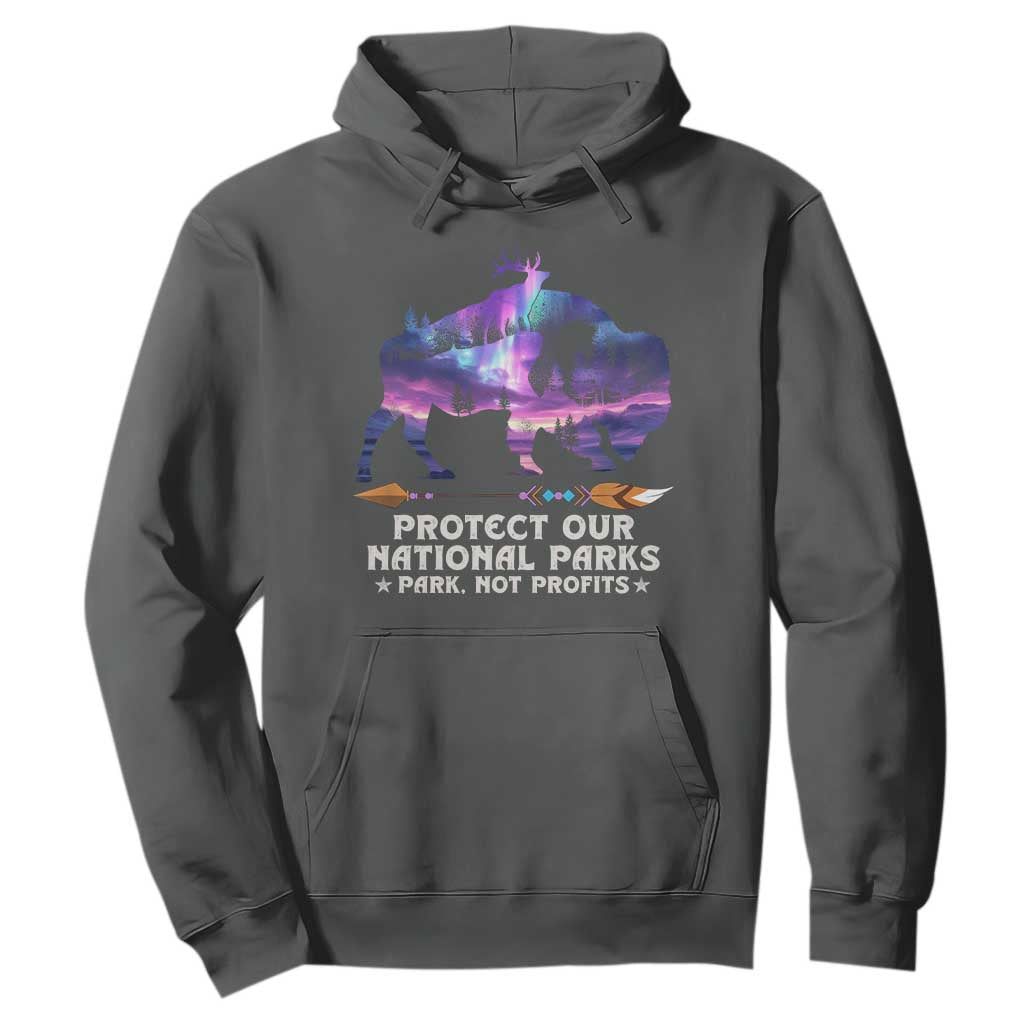 Protect Our National Parks Hoodie Bison Forest Starscape Aurora TS10 Dark Heather Print Your Wear