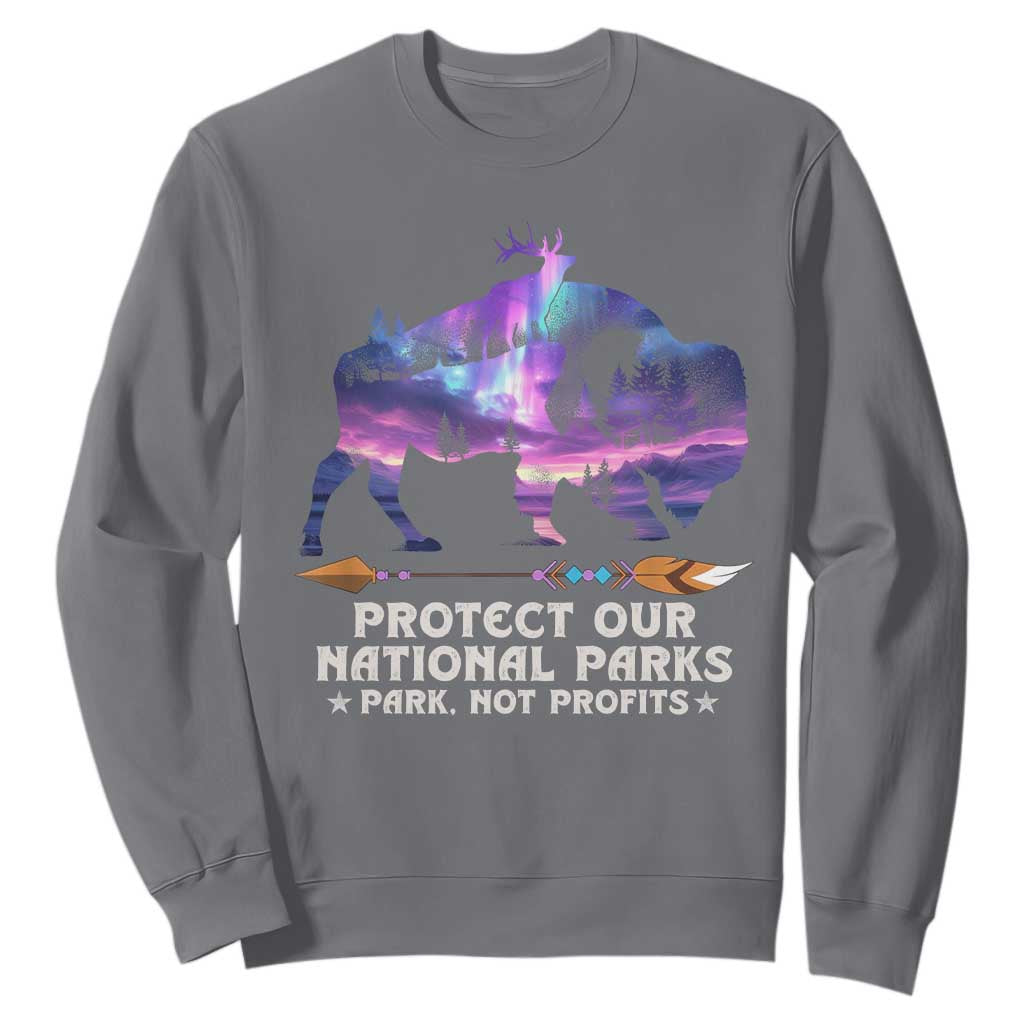Protect Our National Parks Sweatshirt Bison Forest Starscape Aurora TS10 Charcoal Print Your Wear