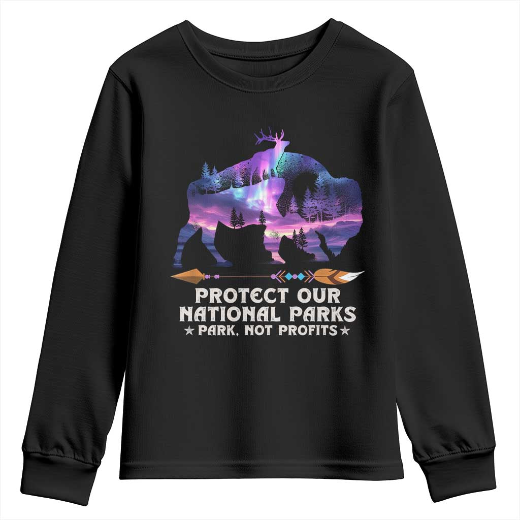 Protect Our National Parks Youth Sweatshirt Bison Forest Starscape Aurora TS10 Black Print Your Wear