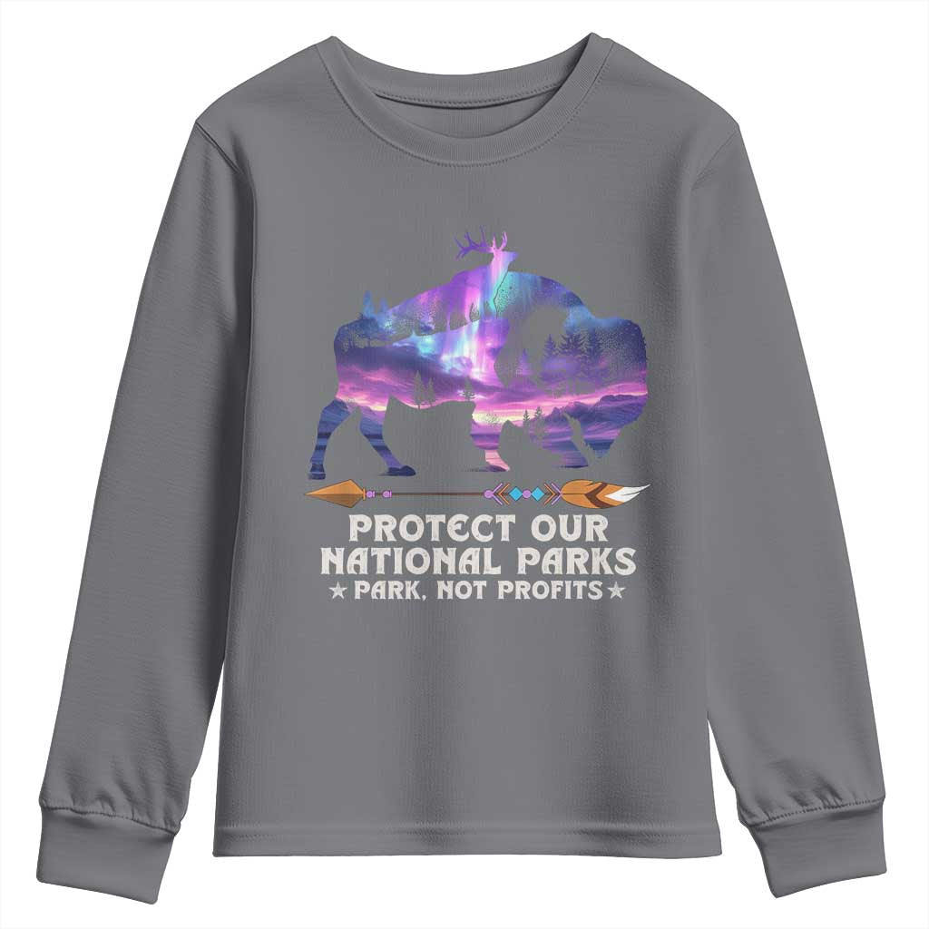Protect Our National Parks Youth Sweatshirt Bison Forest Starscape Aurora TS10 Charcoal Print Your Wear