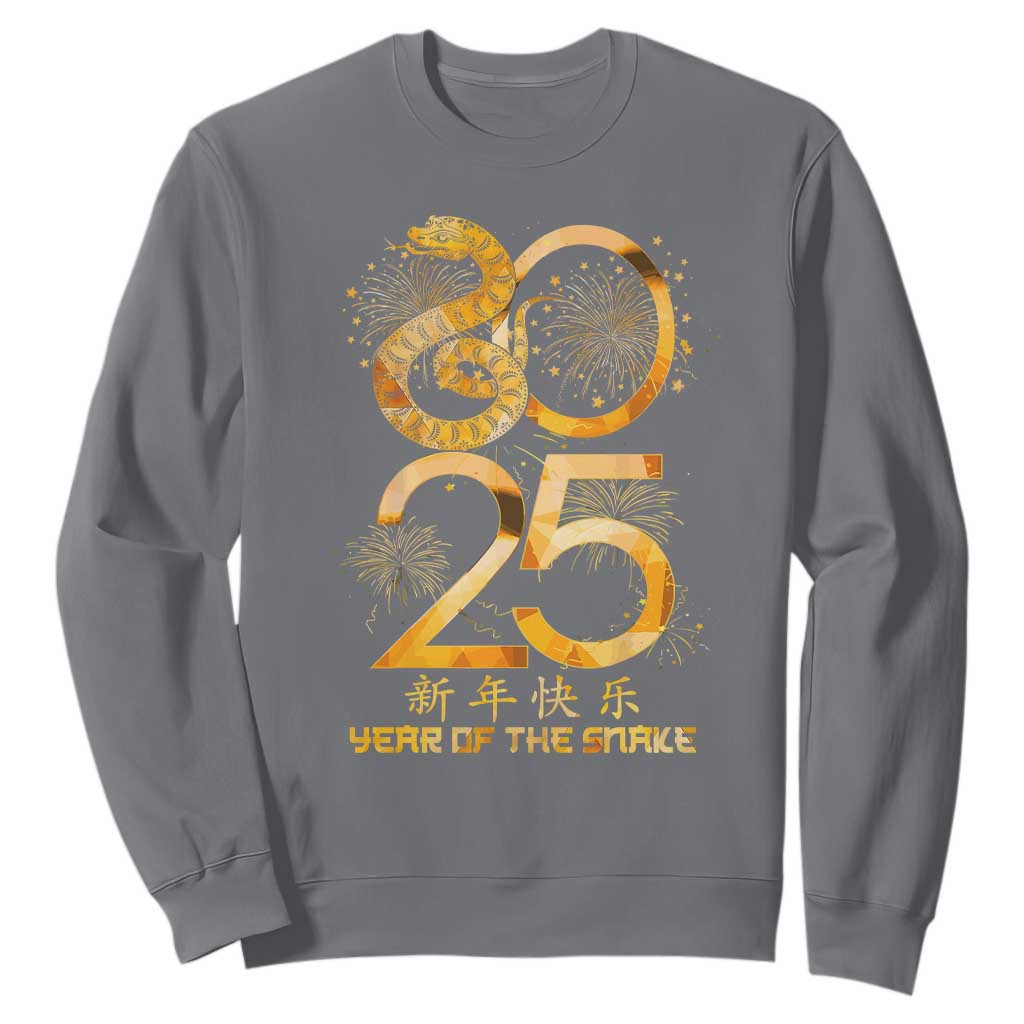 Lunar New Year 2025 Sweatshirt Chinese Year Of The Snake TS10 Charcoal Print Your Wear