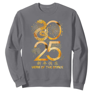 Lunar New Year 2025 Sweatshirt Chinese Year Of The Snake TS10 Charcoal Print Your Wear