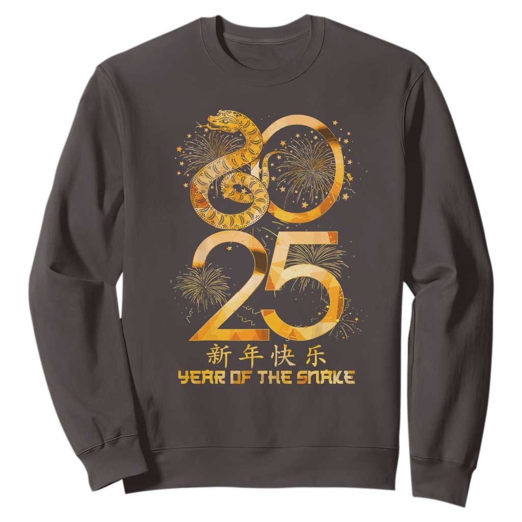 Lunar New Year 2025 Sweatshirt Chinese Year Of The Snake TS10 Dark Chocolate Print Your Wear