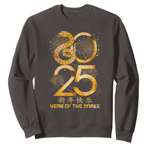 Lunar New Year 2025 Sweatshirt Chinese Year Of The Snake TS10 Dark Chocolate Print Your Wear