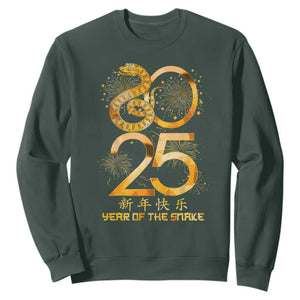 Lunar New Year 2025 Sweatshirt Chinese Year Of The Snake TS10 Dark Forest Green Print Your Wear