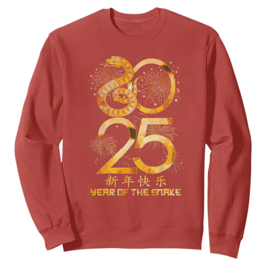 Lunar New Year 2025 Sweatshirt Chinese Year Of The Snake TS10 Red Print Your Wear