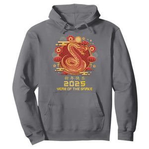 Year Of The Snake 2025 Lunar New Year Hoodie TS10 Charcoal Print Your Wear