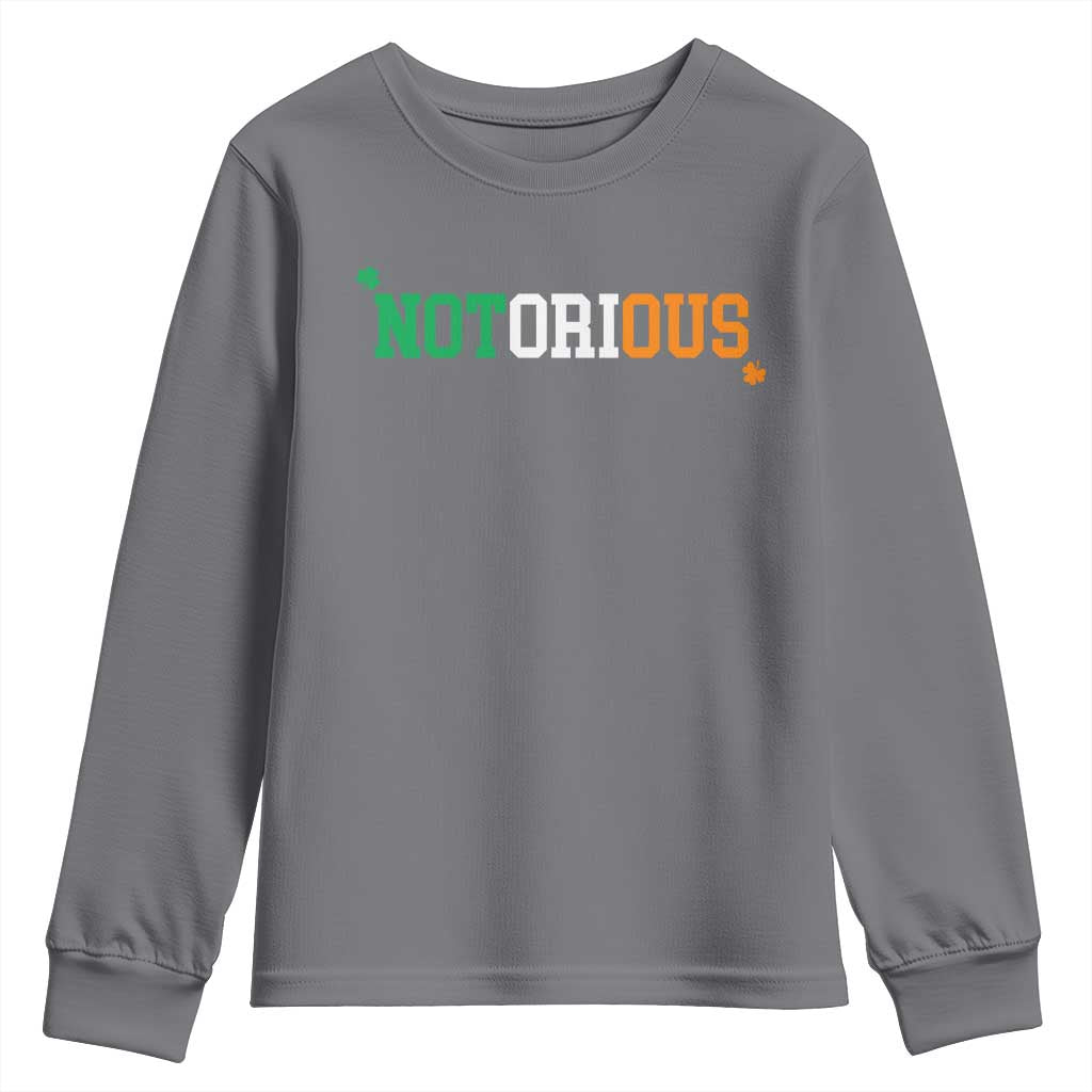 Irish Pride Boxing Fighting Notorious Youth Sweatshirt Irish Flag Lucky Shamrock Graphic TS10 Charcoal Print Your Wear