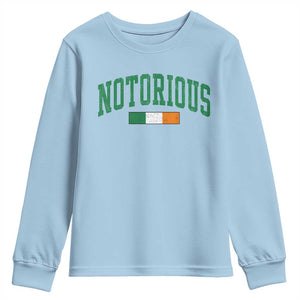 Vintage Irish Flag Notorious Youth Sweatshirt Boxing Fans TS10 Light Blue Print Your Wear