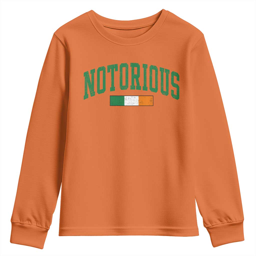 Vintage Irish Flag Notorious Youth Sweatshirt Boxing Fans TS10 Orange Print Your Wear