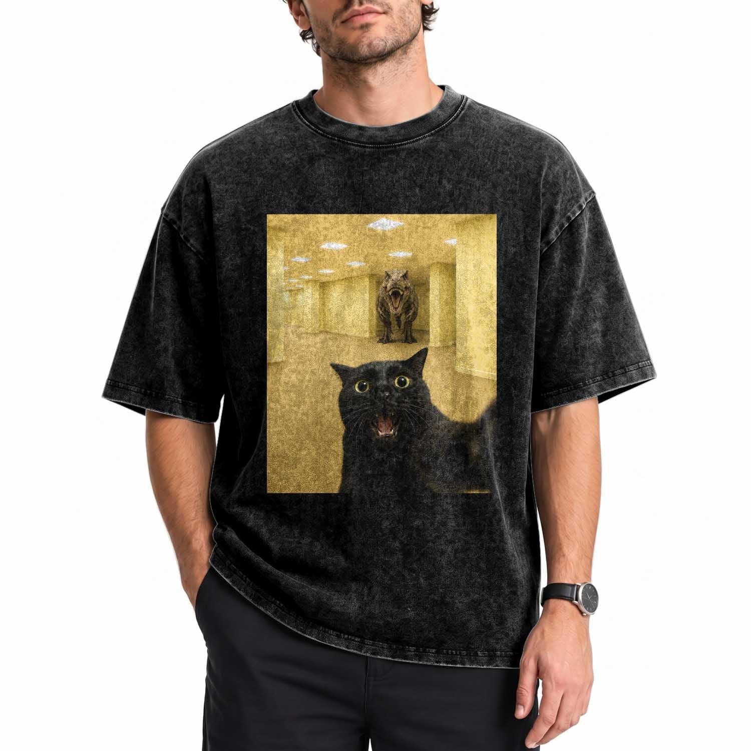 Black Cat Selfie with Dinosaur in The Backrooms Liminal Space Graphic Washed Cotton T-Shirt Liminal Space Urban Legend Meme
