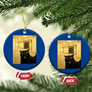 Black Cat Selfie with Dinosaur in The Backrooms Liminal Space Graphic Ceramic Ornament Liminal Space Urban Legend Meme TS10 1pc Blue Print Your Wear