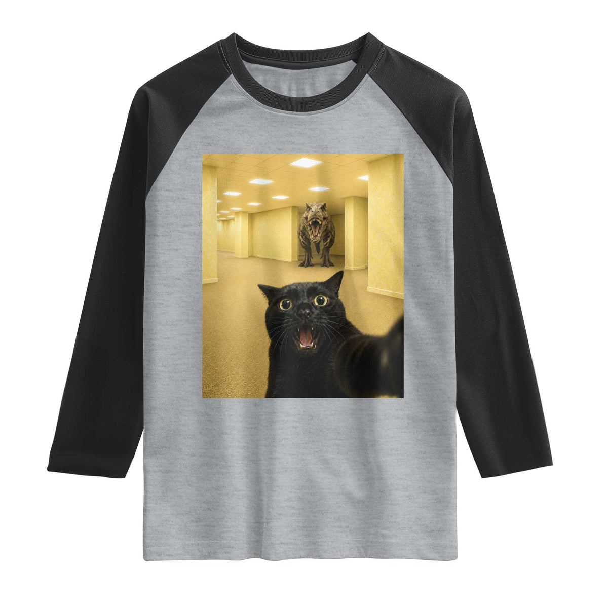 Black Cat Selfie with Dinosaur in The Backrooms Liminal Space Graphic Raglan Shirt Liminal Space Urban Legend Meme TS10 Heather Gray Black Print Your Wear