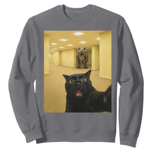 Black Cat Selfie with Dinosaur in The Backrooms Liminal Space Graphic Sweatshirt Liminal Space Urban Legend Meme TS10 Charcoal Print Your Wear