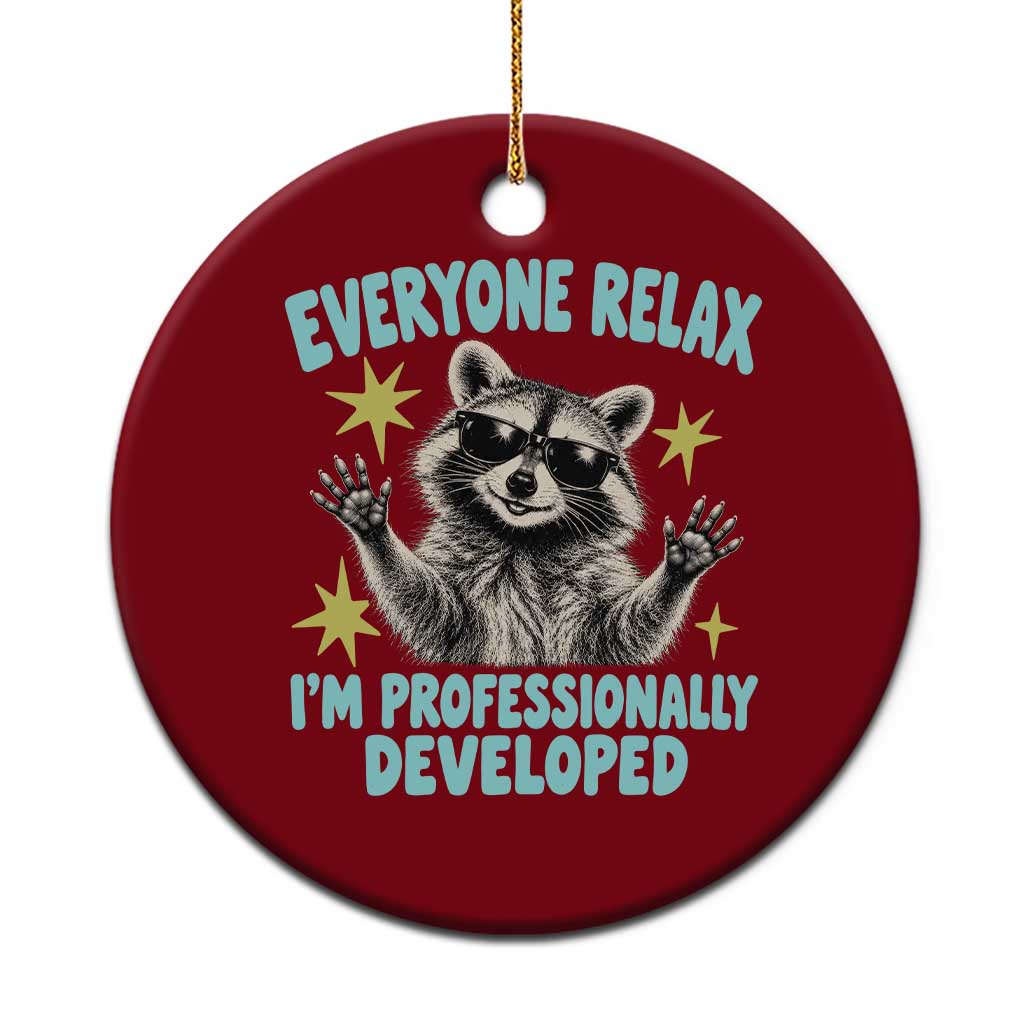 Everyone Relax I Am Professionally Developed Funny Raccoon Ceramic Ornament Office Work Humor Aesthetic